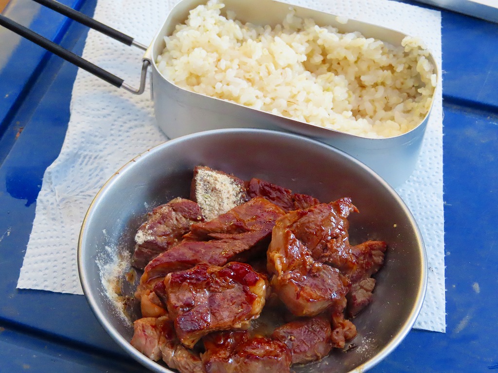 f:id:mouhatarakitakunai:20201231190939j:plain