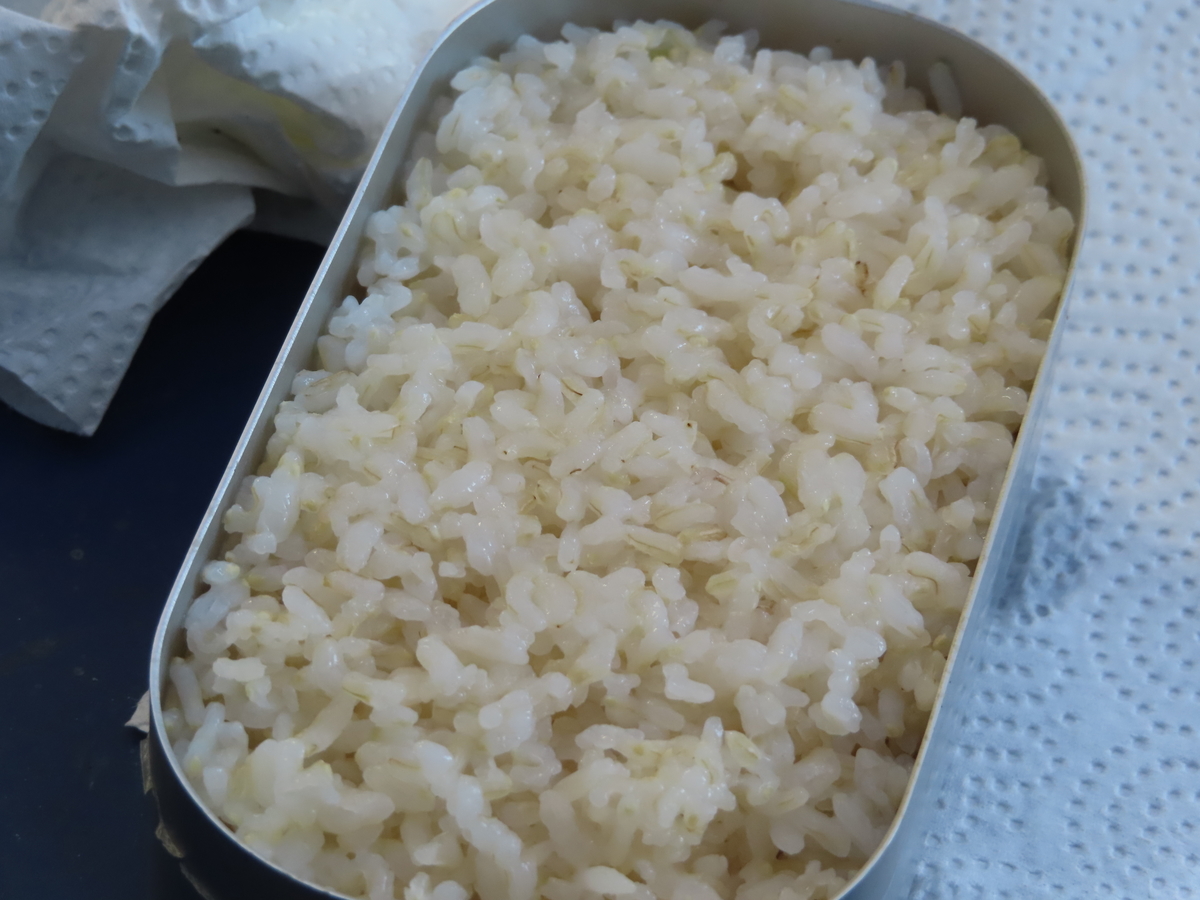 f:id:mouhatarakitakunai:20201231200807j:plain