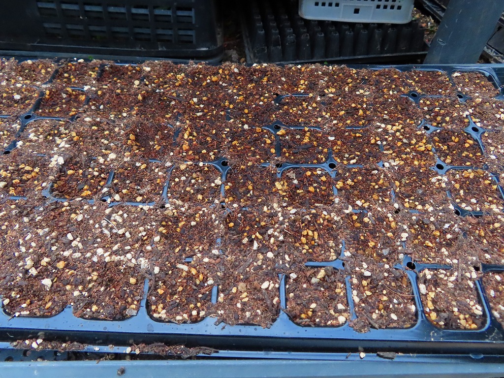 f:id:mouhatarakitakunai:20210403220709j:plain