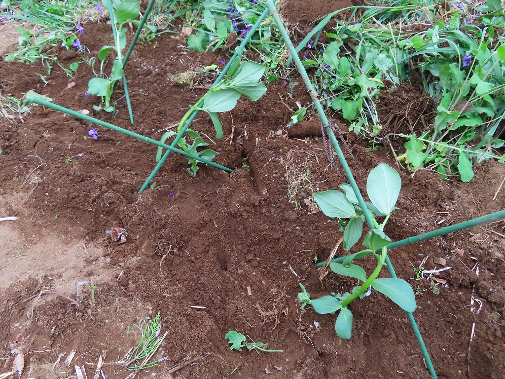 f:id:mouhatarakitakunai:20210403220728j:plain