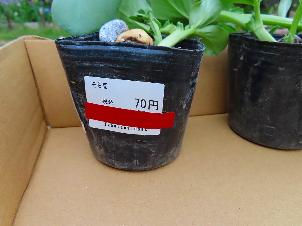 f:id:mouhatarakitakunai:20210403220743j:plain