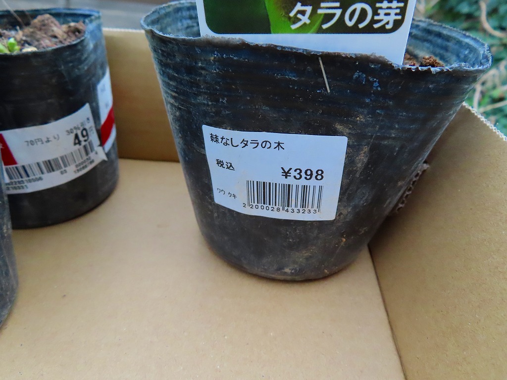 f:id:mouhatarakitakunai:20210403220755j:plain