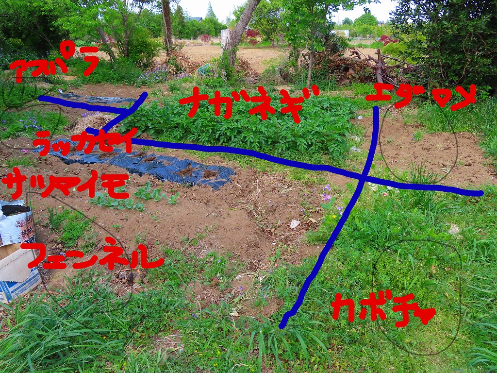 f:id:mouhatarakitakunai:20210501185823j:plain