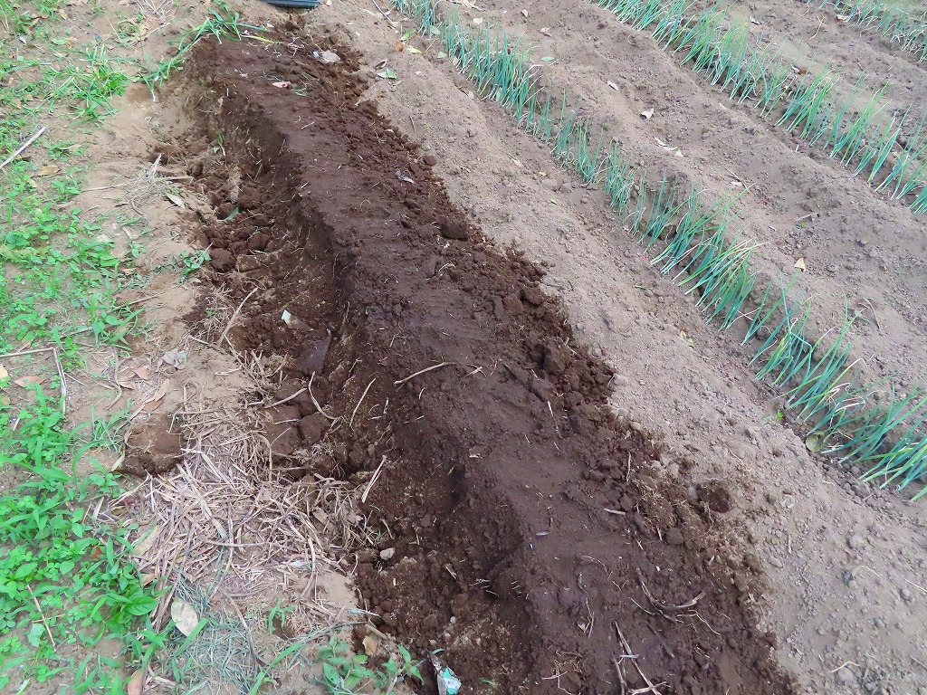 f:id:mouhatarakitakunai:20210612224340j:plain