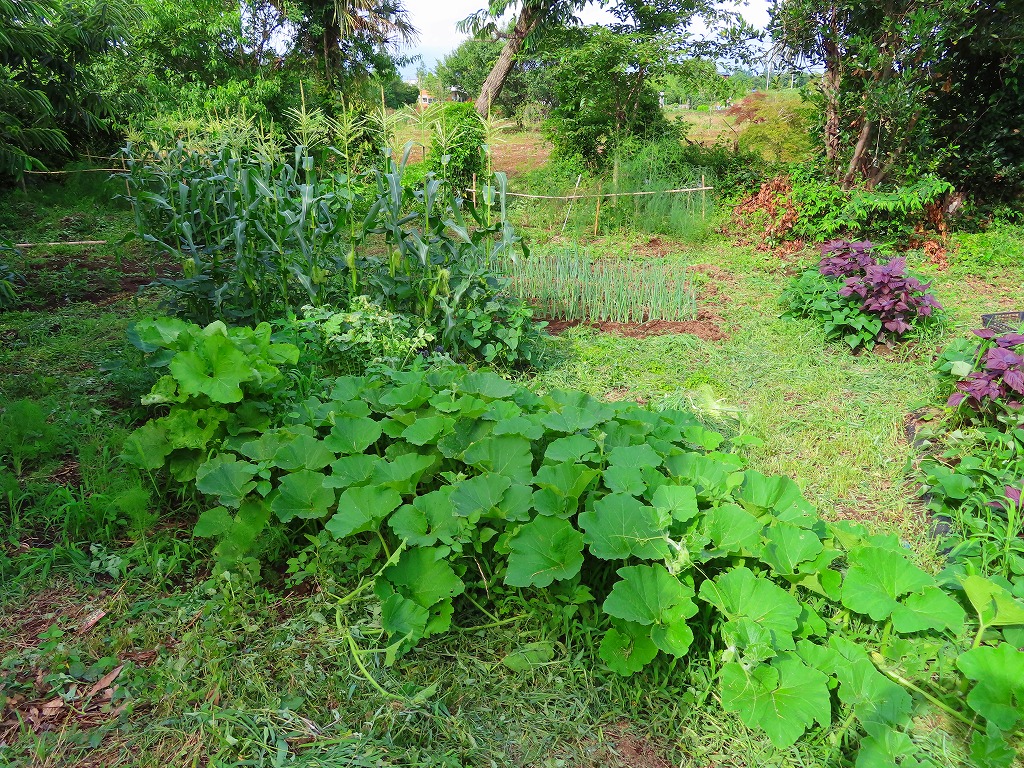 f:id:mouhatarakitakunai:20210703175713j:plain