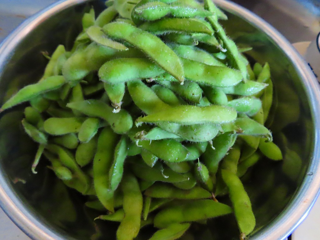 f:id:mouhatarakitakunai:20210718231301j:plain