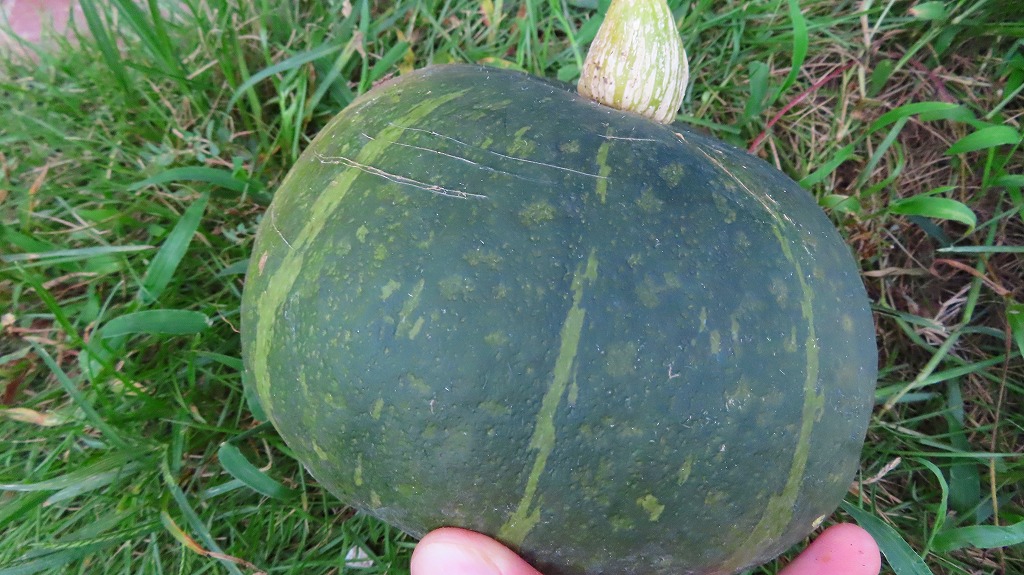 f:id:mouhatarakitakunai:20210822200815j:plain