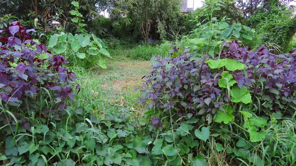 f:id:mouhatarakitakunai:20210822200822j:plain