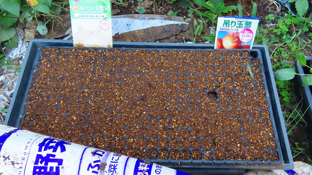 f:id:mouhatarakitakunai:20210919221147j:plain