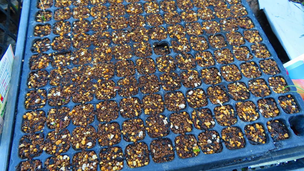 f:id:mouhatarakitakunai:20211004224542j:plain