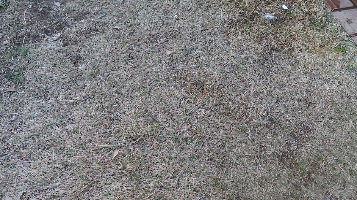 f:id:mouhatarakitakunai:20211212170842j:plain
