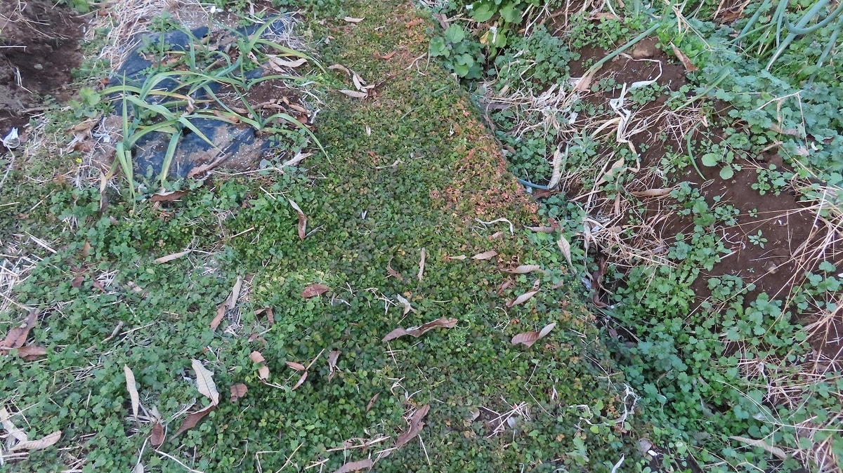f:id:mouhatarakitakunai:20211212170908j:plain