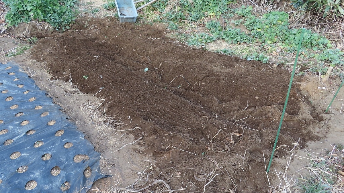 f:id:mouhatarakitakunai:20220308215347j:plain