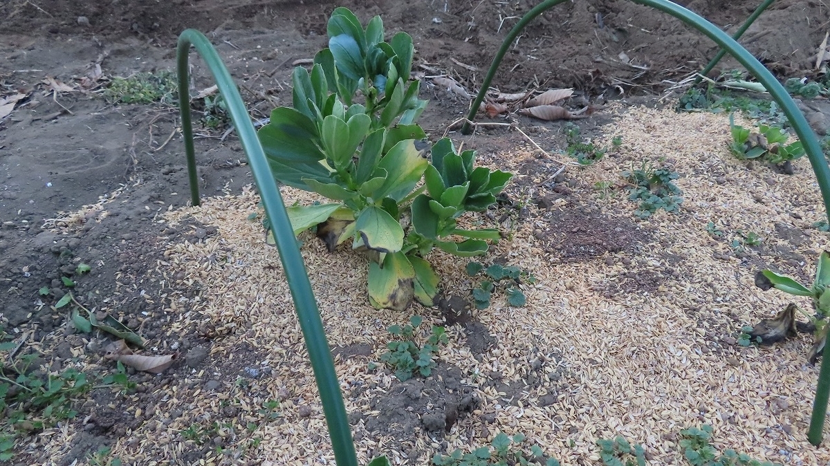 f:id:mouhatarakitakunai:20220308215352j:plain