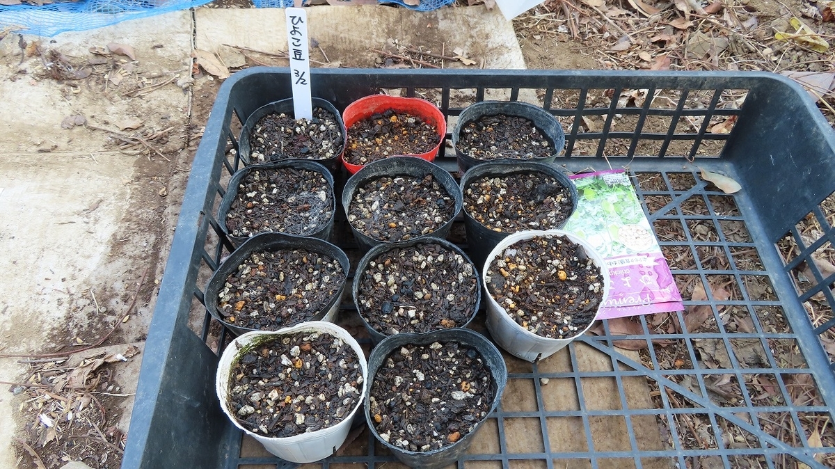 f:id:mouhatarakitakunai:20220308215407j:plain