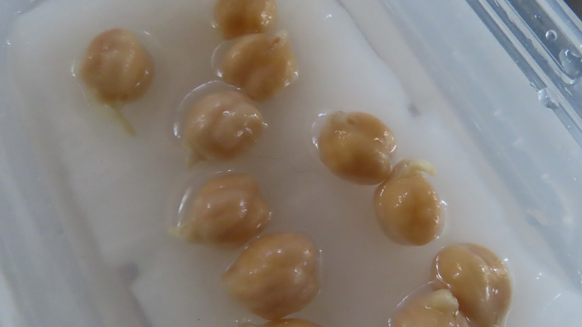 f:id:mouhatarakitakunai:20220308215410j:plain