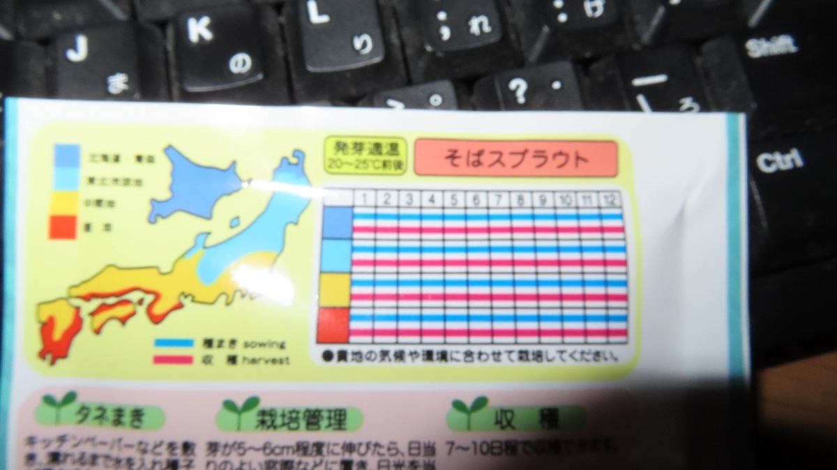 f:id:mouhatarakitakunai:20220308215421j:plain