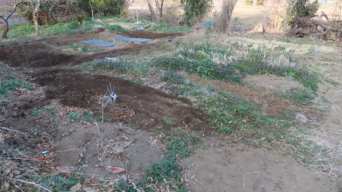 f:id:mouhatarakitakunai:20220308215452j:plain