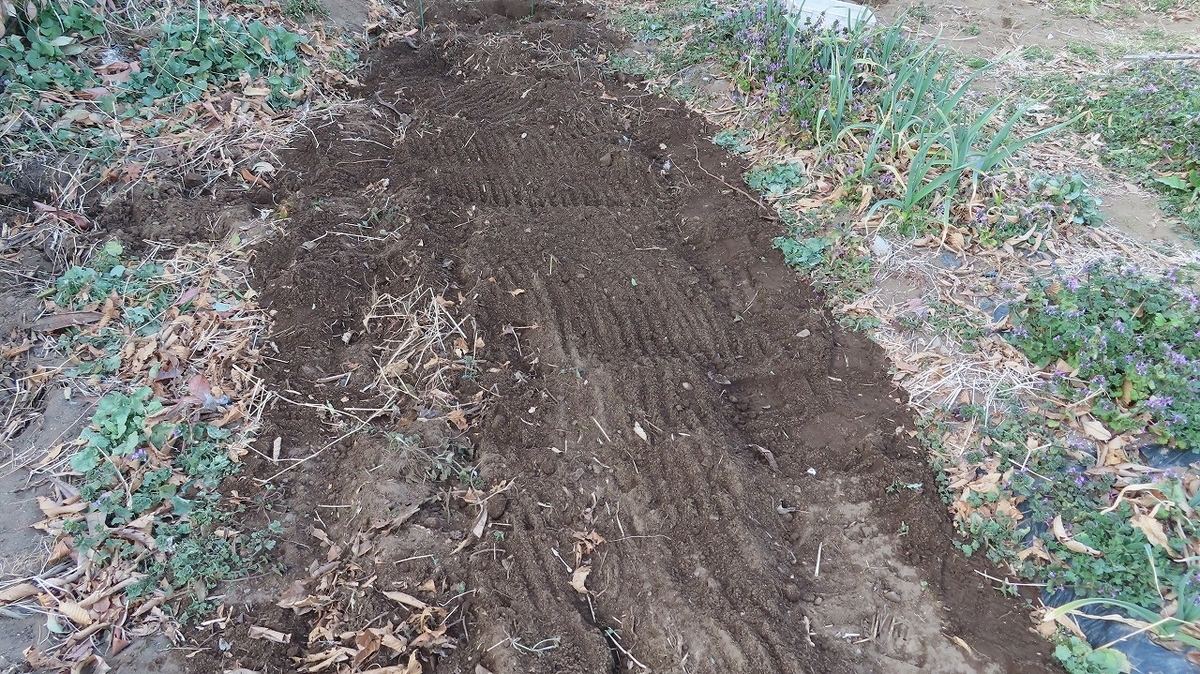 f:id:mouhatarakitakunai:20220308215455j:plain