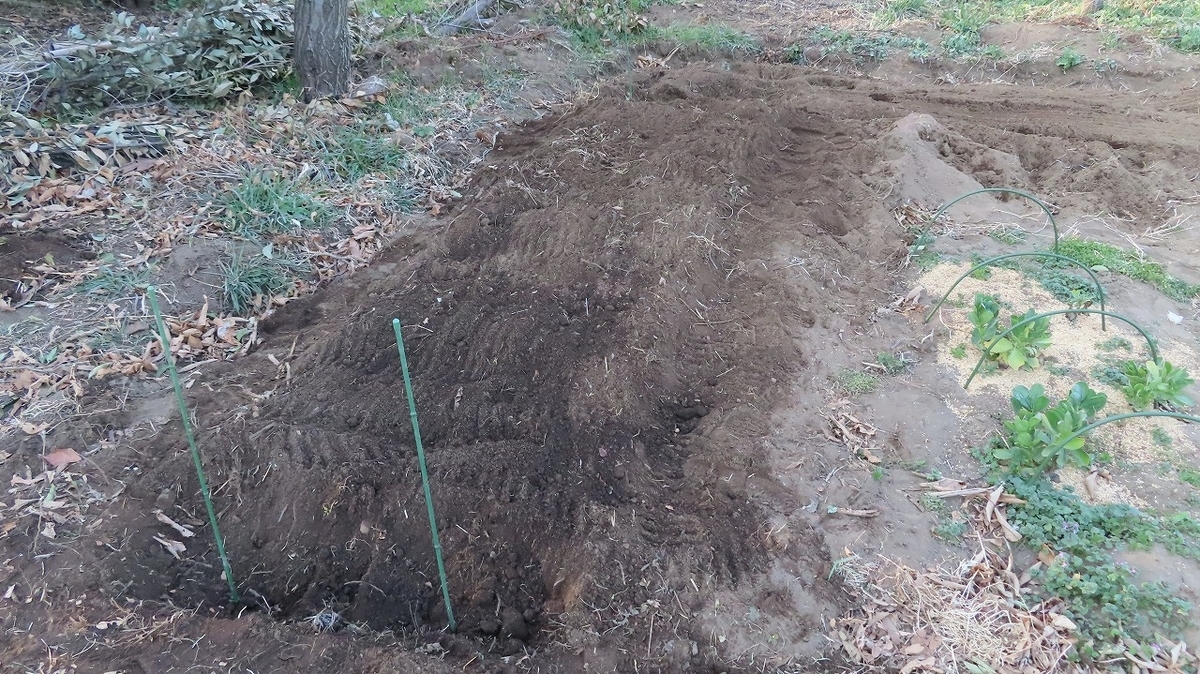 f:id:mouhatarakitakunai:20220308215458j:plain