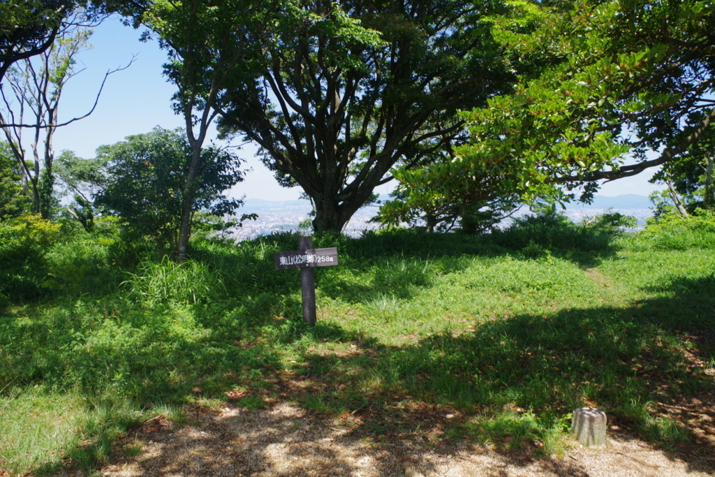f:id:mount_po:20180602214207j:plain
