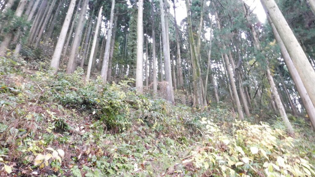 f:id:mountain999:20181205173923j:plain f:id:mountain999:20181205173923j:plain