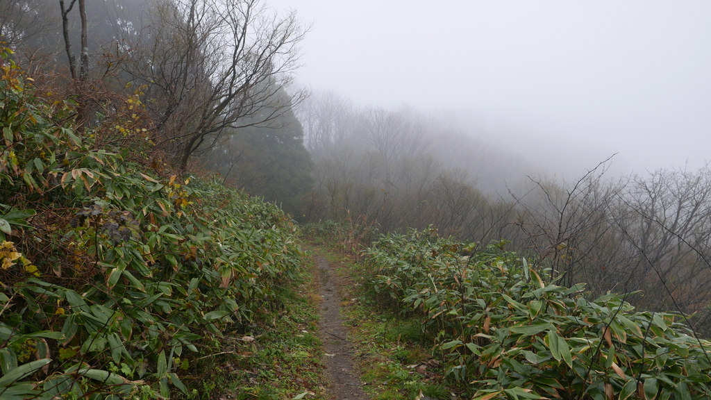 f:id:mountain999:20181205175357j:plain f:id:mountain999:20181205175357j:plain