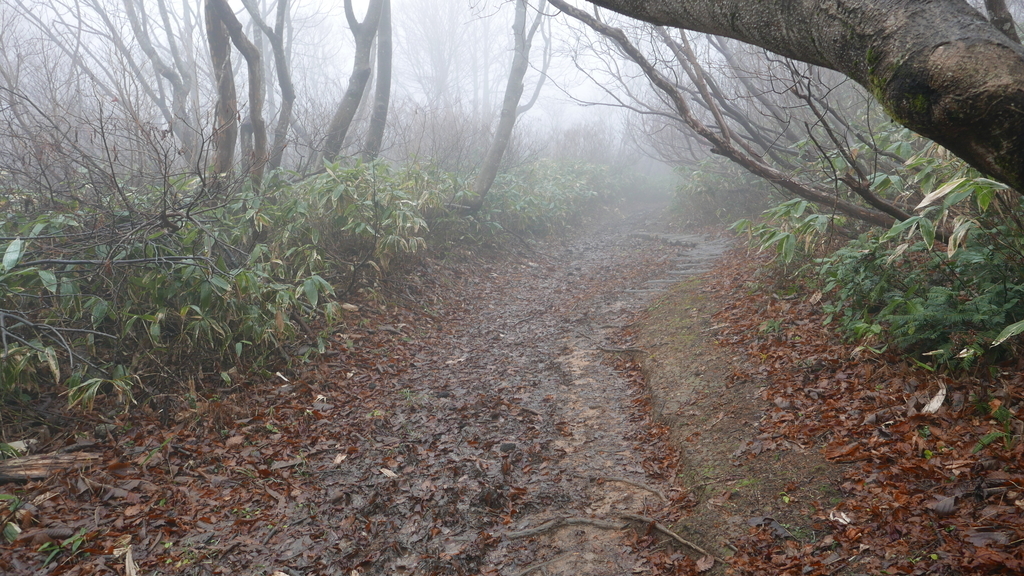 f:id:mountain999:20181205180336j:plain f:id:mountain999:20181205180336j:plain