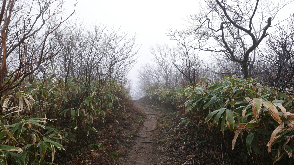 f:id:mountain999:20181205180739j:plain f:id:mountain999:20181205180739j:plain