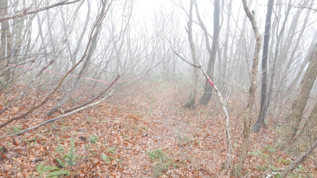 f:id:mountain999:20181205181802j:plain f:id:mountain999:20181205181802j:plain