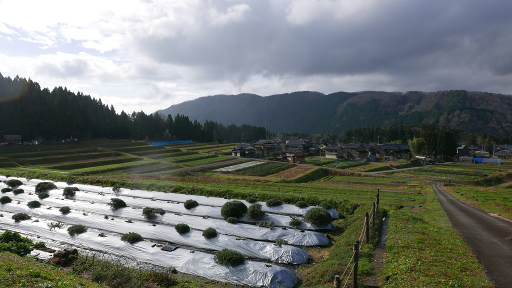 f:id:mountain999:20181205194011j:plain f:id:mountain999:20181205194011j:plain