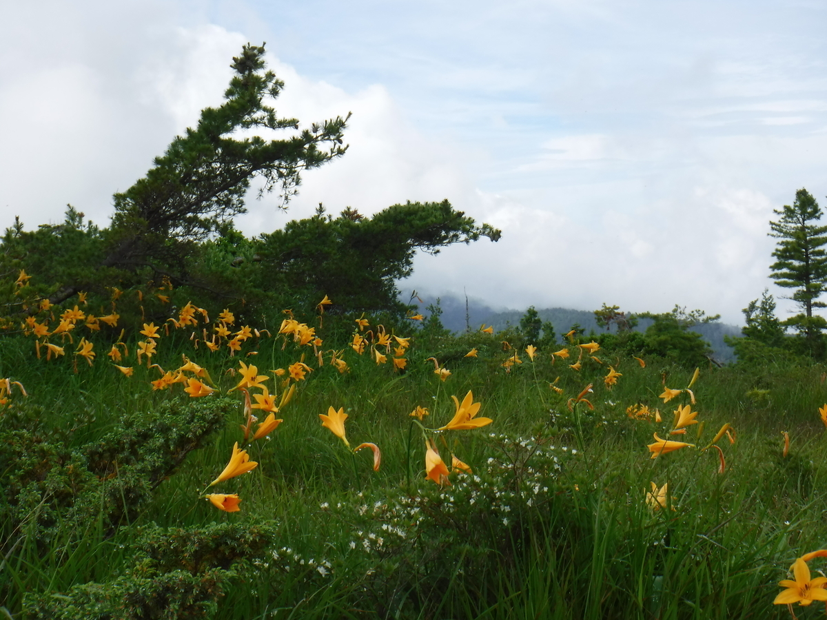 f:id:mountain999:20190318165623j:plain f:id:mountain999:20190318165623j:plain