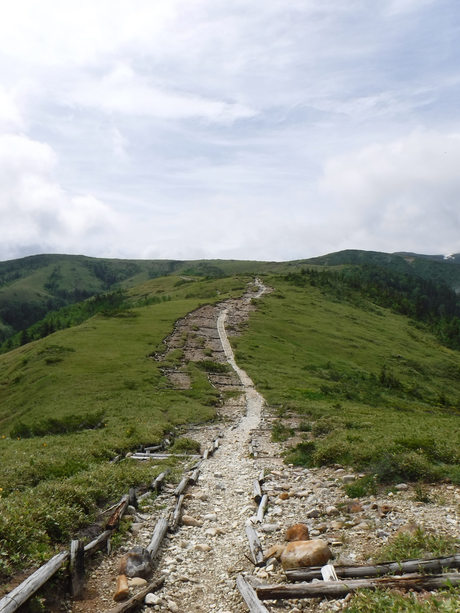 f:id:mountain999:20190318165747j:plain f:id:mountain999:20190318165747j:plain