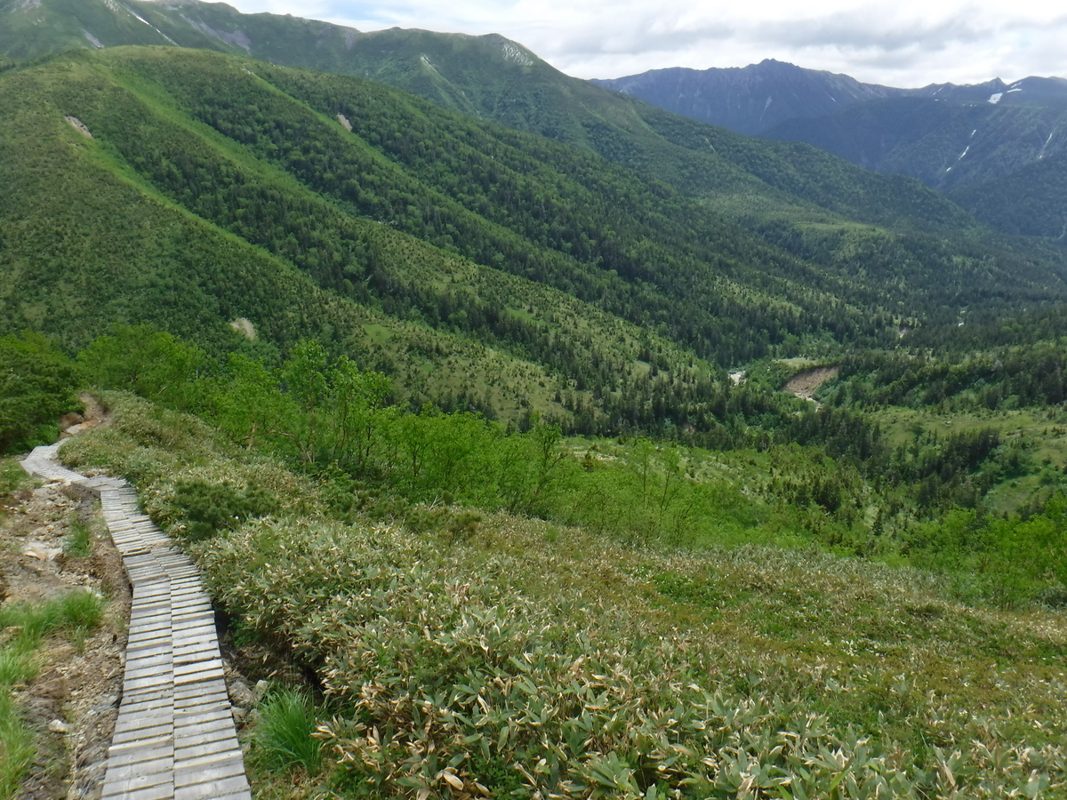 f:id:mountain999:20190318170137j:plain f:id:mountain999:20190318170137j:plain
