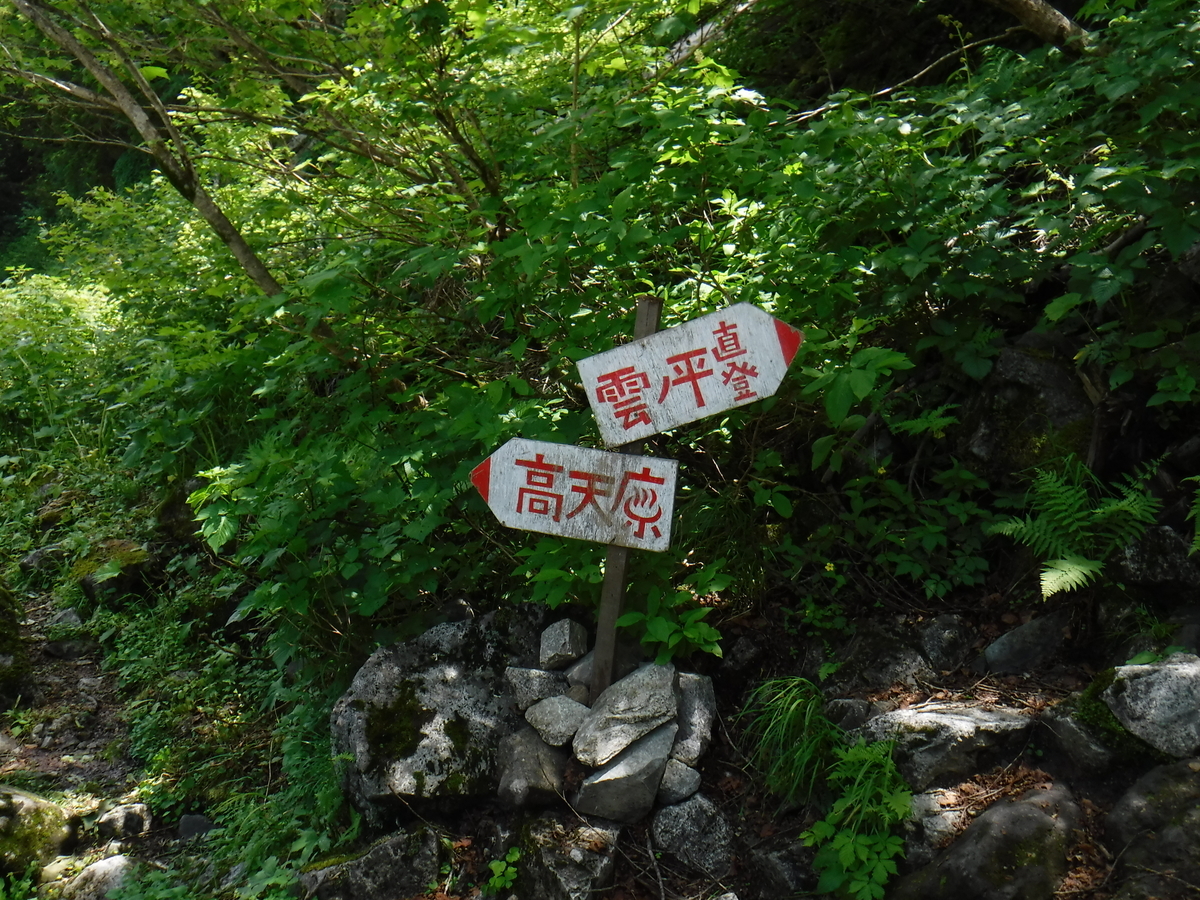 f:id:mountain999:20190318170605j:plain f:id:mountain999:20190318170605j:plain