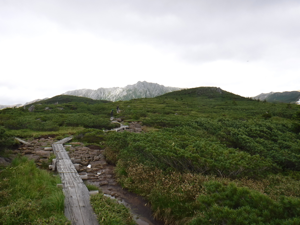 f:id:mountain999:20190319135604j:plain f:id:mountain999:20190319135604j:plain
