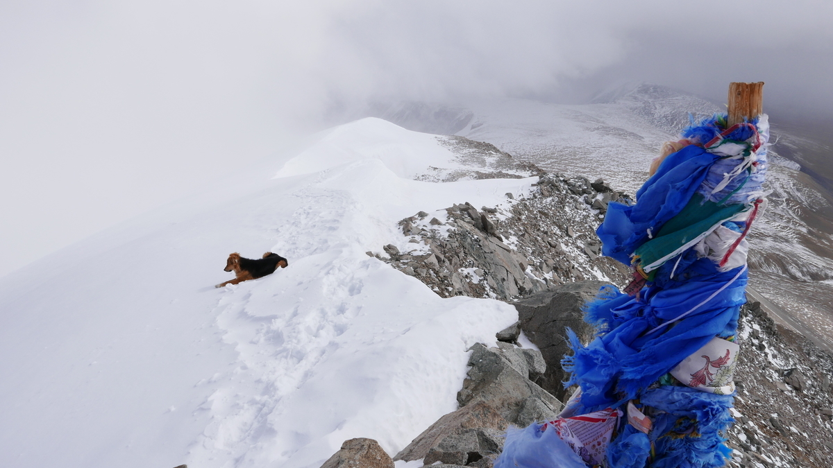 f:id:mountain999:20190919184118j:plain f:id:mountain999:20190919184118j:plain