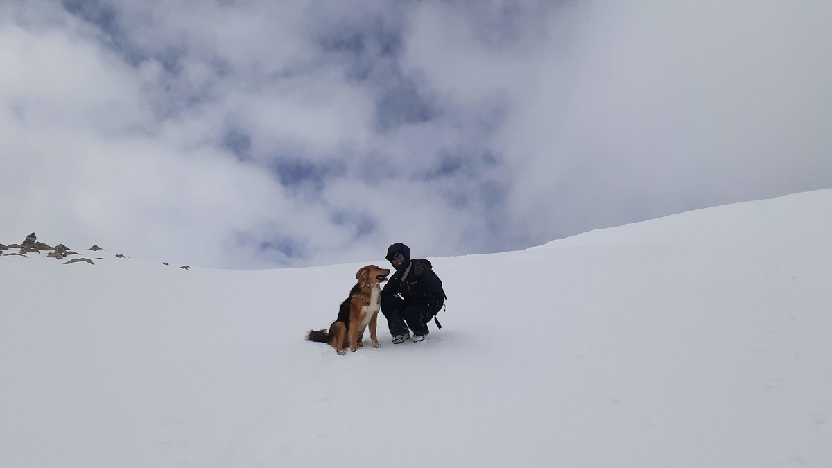 f:id:mountain999:20190920135530j:plain f:id:mountain999:20190920135530j:plain