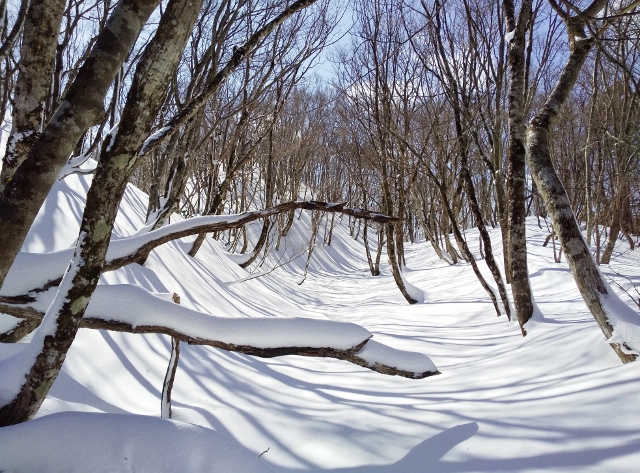f:id:mountainclub:20200212094203j:plain f:id:mountainclub:20200212094203j:plain