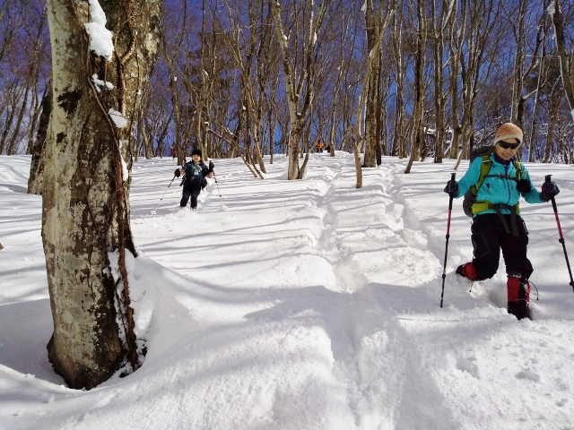 f:id:mountainclub:20200212094231j:plain f:id:mountainclub:20200212094231j:plain