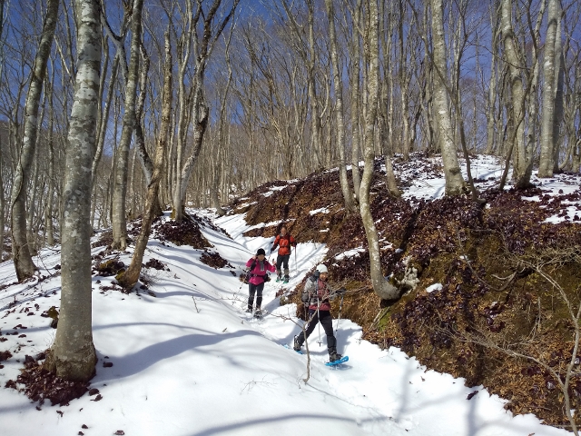 f:id:mountainclub:20200307130614j:plain f:id:mountainclub:20200307130614j:plain