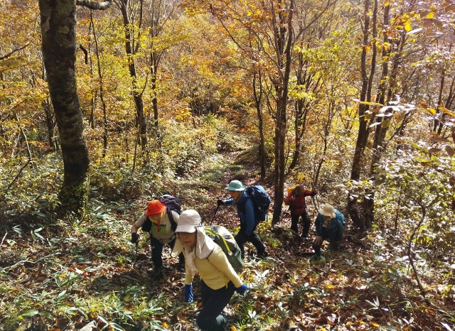 f:id:mountainclub:20201026111254j:plain