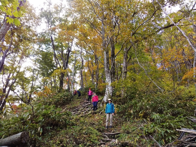 f:id:mountainclub:20201026112540j:plain