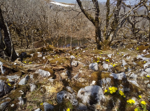 f:id:mountainclub:20210328085240j:plain