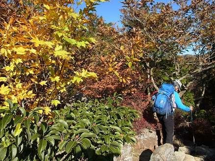 f:id:mountaineer:20181203115721j:image