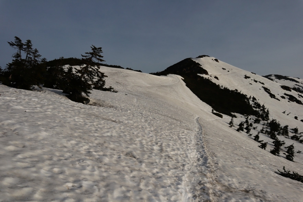 f:id:mountainlog:20180611224526j:plain f:id:mountainlog:20180611224526j:plain