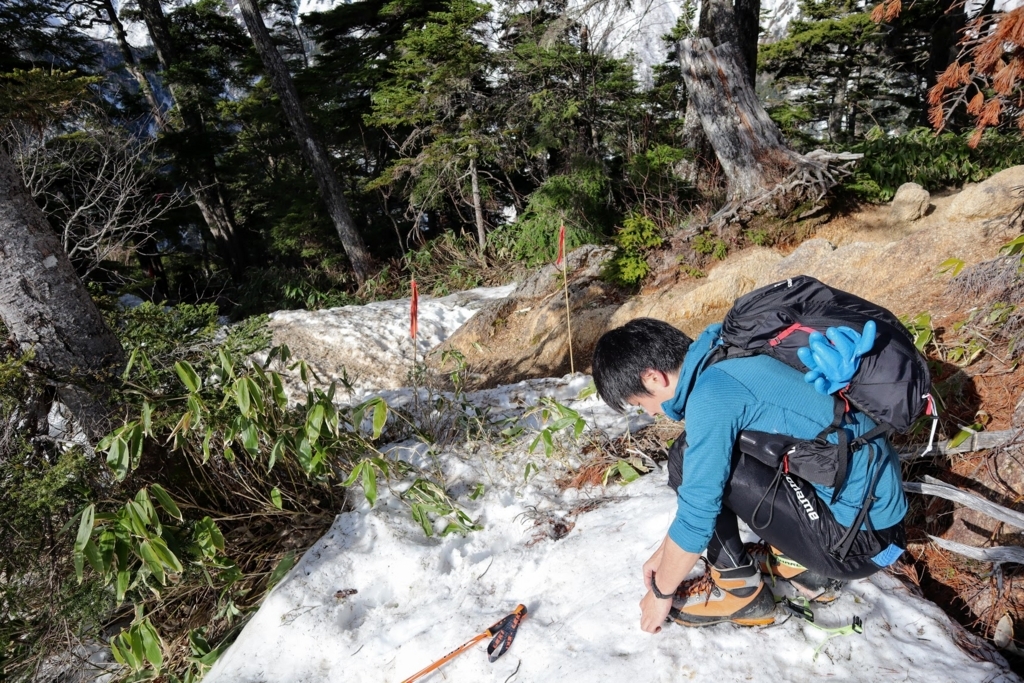 f:id:mountainlog:20180613214916j:plain f:id:mountainlog:20180613214916j:plain