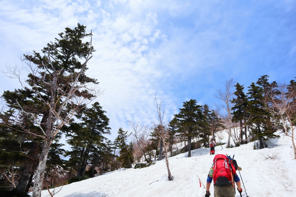 f:id:mountainlog:20180619203124j:plain f:id:mountainlog:20180619203124j:plain