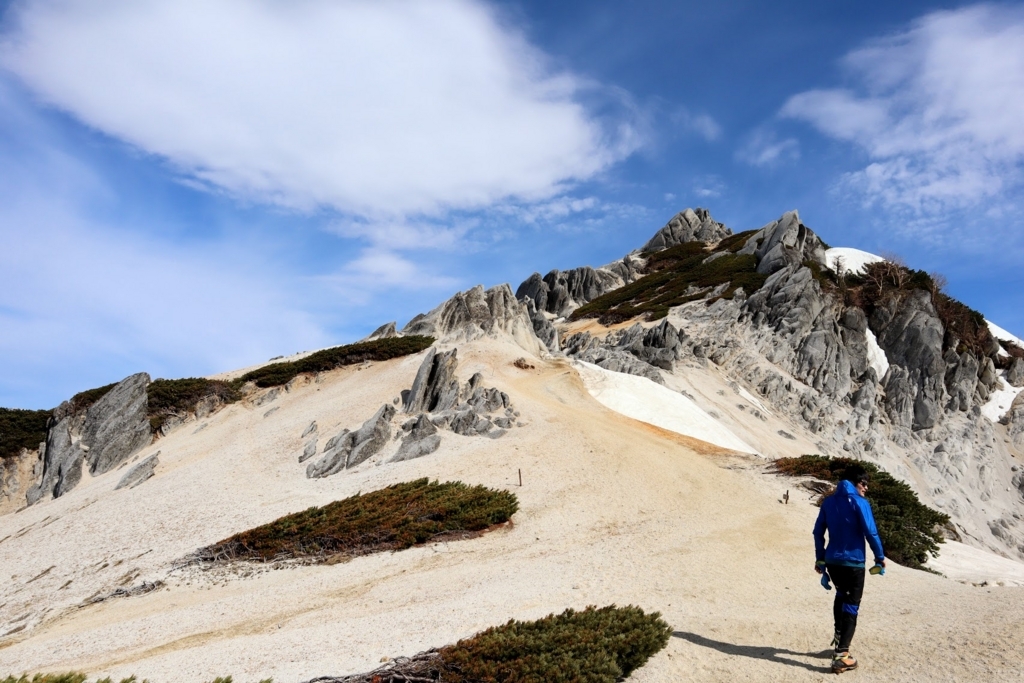 f:id:mountainlog:20180619235042j:plain f:id:mountainlog:20180619235042j:plain