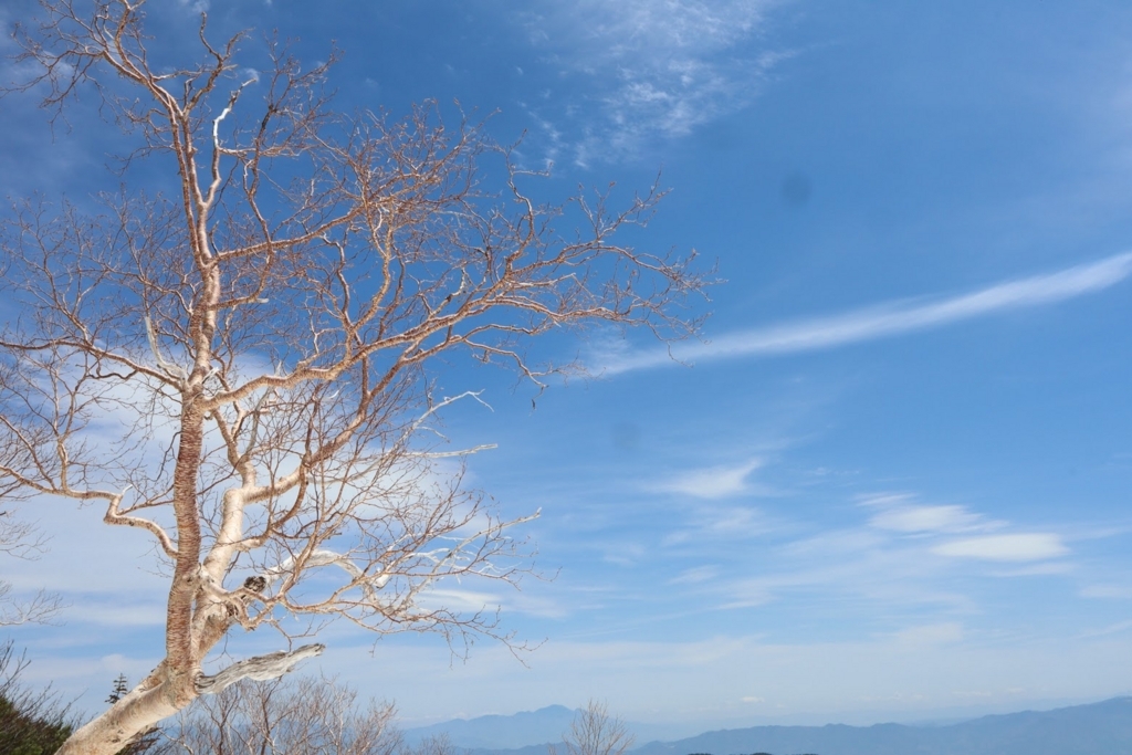 f:id:mountainlog:20180620203014j:plain f:id:mountainlog:20180620203014j:plain